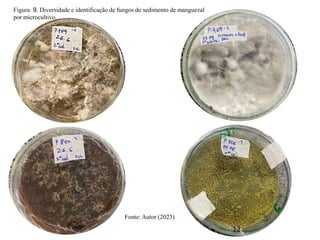 Figura 9. Diversidade e identificação de fungos do sedimento de manguezal
por microcultivo.
Fonte: Autor (2023)
12
 