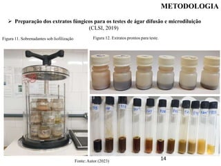 METODOLOGIA
 Preparação dos extratos fúngicos para os testes de ágar difusão e microdiluição
(CLSI, 2019)
Figura 11. Sobrenadantes sob liofilização Figura 12. Extratos prontos para teste.
14
Fonte: Autor (2023)
 