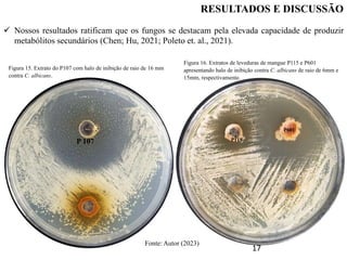 RESULTADOS E DISCUSSÃO
17
 Nossos resultados ratificam que os fungos se destacam pela elevada capacidade de produzir
metabólitos secundários (Chen; Hu, 2021; Poleto et. al., 2021).
P 107
Figura 15. Extrato do P107 com halo de inibição de raio de 16 mm
contra C. albicans.
P601
P115
Figura 16. Extratos de leveduras de mangue P115 e P601
apresentando halo de inibição contra C. albicans de raio de 6mm e
15mm, respectivamente.
Fonte: Autor (2023)
 