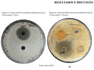 18
Figura 17. Extrato do P107 com halo de inibição de raio de
8 mm contra C. krusei.
Figura 18. Extrato do P203 com halo de inibição de raio de
16 mm contra C. albicans.
P 107
Fonte: Autor (2023)
RESULTADOS E DISCUSSÃO
 