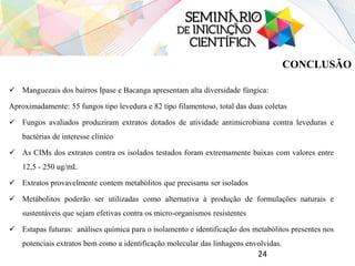  Manguezais dos bairros Ipase e Bacanga apresentam alta diversidade fúngica:
Aproximadamente: 55 fungos tipo levedura e 82 tipo filamentoso, total das duas coletas(.
 Fungos avaliados produziram extratos dotados de atividade antimicrobiana contra leveduras e
bactérias de interesse clínico
 As CIMs dos extratos contra os isolados testados foram extremamente baixas com valores entre
12,5 - 250 ug/mL
 Extratos provavelmente contem metabólitos que precisams ser isolados
 Metábolitos poderão ser utilizadas como alternativa à produção de formulações naturais e
sustentáveis que sejam efetivas contra os micro-organismos resistentes
 Estapas futuras: análises química para o isolamento e identificação dos metabólitos presentes nos
potenciais extratos bem como a identificação molecular das linhagens envolvidas.
24
CONCLUSÃO
 