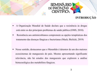 INTRODUÇÃO
 A Organização Mundial de Saúde declara que a resistência às drogas
está entre os dez principais problemas de saúde pública (OMS, 2010).
 Resistência aos antimicrobianos compromete as opções terapêuticas dos
tratamento das doenças fúngicas e bacterianas (Mack; Bielicki, 2019)
 Nesse sentido, destacamos que o Maranhão é detentor de um dos maiores
ecossistemas de manguezais do país. Mesmo apresentando significante
relevância, não há estudos dos manguezais que explorem a análise
biotecnológica dos metabólitos fúngicos.
3
 