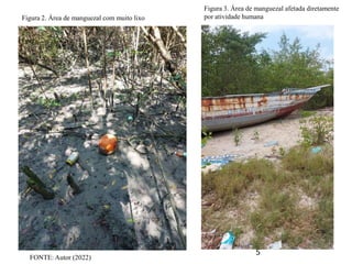 5
Figura 2. Área de manguezal com muito lixo
Figura 3. Área de manguezal afetada diretamente
por atividade humana
FONTE: Autor (2022)
 
