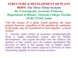 STRUCTURE & DEVELOPMENT OF PLANT
BODY: The Three Tissue Systems
By N.Sannigrahi, Associate Professor,
Department of Botany, Nistarini College, Purulia
(W.B) 723101, India
“All the tissues of a plant which perform the same
general function, regardless of the position & continuity
in the body, may be considered to form together , a tissue
system”.
A vascular plant comes in existence morphologically
from a single unicellular zygote and by further
development , the zygote develops into the embryo, the
embryo in due course give the mature sporophyte.The
division of labor is the natural rule in higher multi-
cellular entity and the tissues enjoyed a division of labor
interacting together to form a tissue systems.
 