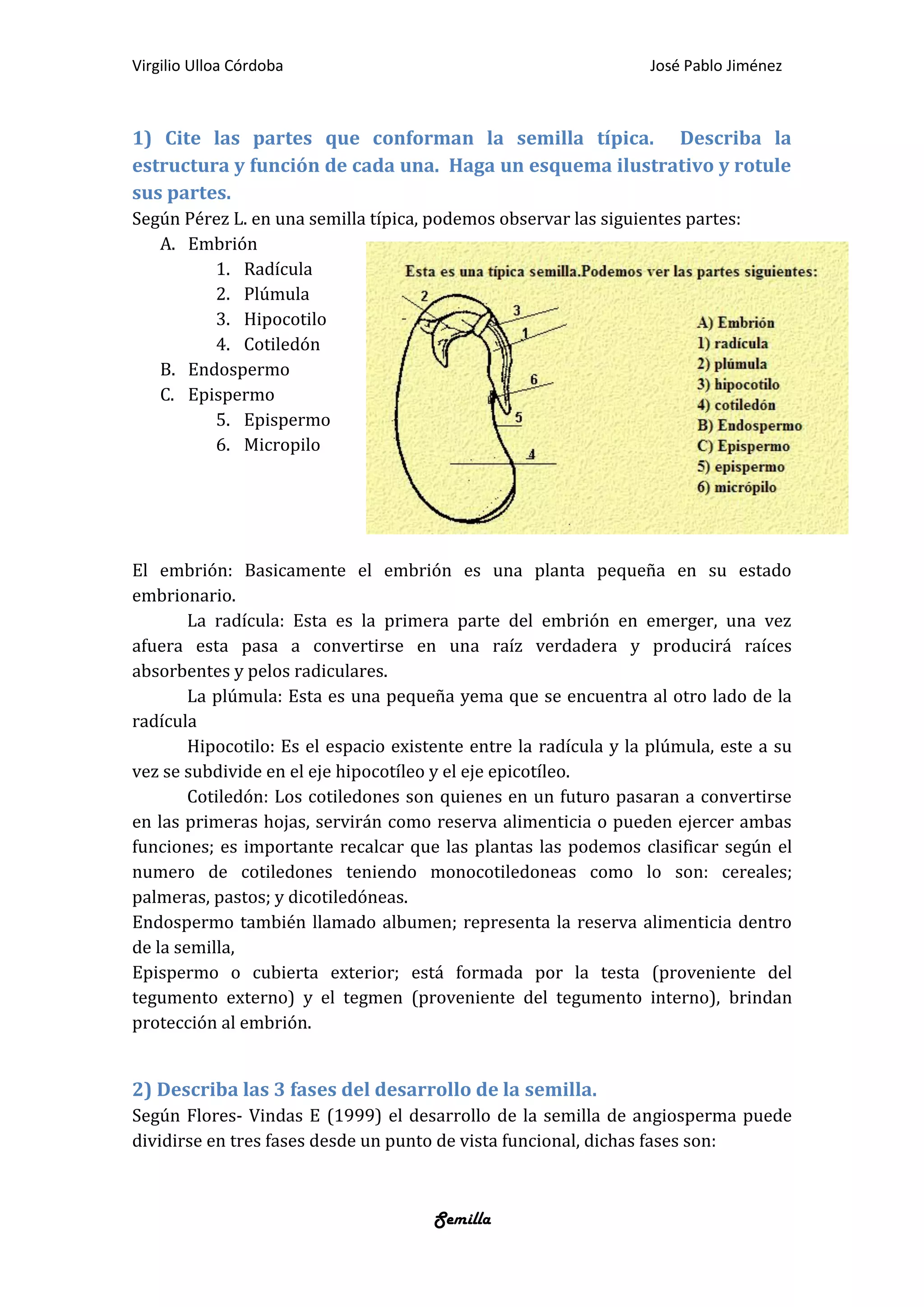 Semilla | PDF