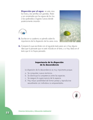Ciencias Naturales y Educación Ambiental
22
	 Dispersión por el agua: en este caso
los frutos y las semillas son grandes, flotan
y son arrastradas por las aguas de los ríos
o las quebradas a lugares nuevos donde
posteriormente crecerán.
5. Escribe en tu cuaderno un párrafo sobre la
importancia de la dispersión de los seres vivos.
6. Compara lo que escribiste con el siguiente texto para ver si hay alguna
idea que tú pensaste que no esté incluida en el texto, o si hay ideas en el
texto que tú no hayas pensado.
Importancia de la dispersión
de la descendencia
La dispersión de la descendencia es muy importante porque:
a.	 Se conquistan nuevos territorios.
b.	 Se disminuye la competencia entre las especies.
c.	 Se asegura la supervivencia de la especie.
d.	 Hay mayor posibilidad de formar pareja y reproducirse
	 sexualmente con individuos no emparentados.
 