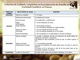 Producción y distribución de semillas de variedades de café mejoradas