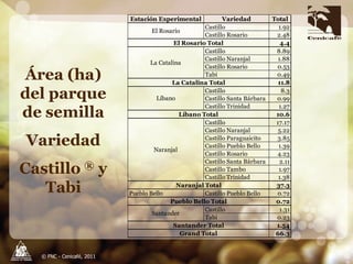 Producción y distribución de semillas de variedades de café mejoradas
