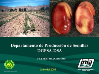 Departamento de Producción de Semillas
                        DGPSA-DSA
                            DR. EBERT OBANDO FLOR




MINISTERIO DE AGRICULTURA
                              Junio del 2004        Instituto Nacional de Investigación y
                                                              Extensión Agraria
 