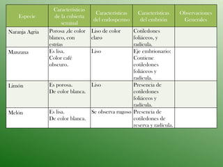 Especie Características de la cubierta seminal Características del endospermo Características del embrión Observaciones Generales Naranja Agria Porosa ,de color blanco, con estrías Liso de color claro Cotiledones foliáceos, y radícula. Manzana Es lisa. Color café obscuro. Liso Eje embrionario: Contiene  cotiledones foliáceos y radícula. Limón Es porosa. De color blanca. Liso Presencia de cotiledones foliáceos y radícula. Melón Es lisa. De color blanca. Se observa rugoso Presencia de cotiledones de reserva y radícula. 
