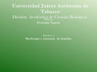 Universidad Juárez Autónoma de Tabasco División  Académica de Ciencias Biológicas  Materia:  Fisiología Vegetal  Practica: 1  Morfología y Anatomía  de Semillas   