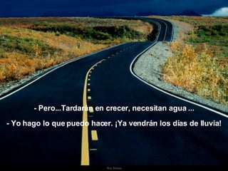 Ria Slides - Pero...Tardarán en crecer, necesitan agua ... - Yo hago lo que puedo hacer. ¡Ya vendrán los días de lluvia! 
