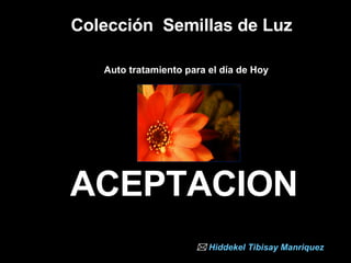 Colección  Semillas de Luz  Auto tratamiento para el día de Hoy   ACEPTACION    Hiddekel   Tibisay   Manriquez 