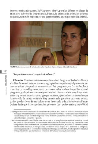 102
Varios
Autores
SEMILLAS
DEL
PUEBLO
bueno, sembrando canavalia115
, granos, pira116
, para las diferentes clases de
animales, sobre todo impulsando, bueno, la crianza de animales de peso
pequeño, también reproducir ese germoplasma animal o semilla animal.
Foto 19. Martha León, vocera de la Red de Escuelas Populares Agroecológicas del estado Carabobo.
“Loqueinteresaeselcompartirdesaberes”
Eduardo: Nosotros estamos coordinando el Programa Todas las Manos
a la Siembra en el estado, somos un grupo de campesinos y algunos docen-
tes con raíces campesinas en sus venas. Ese programa, en Carabobo, hace
tres años cuando llegamos, tenía cuatro escuelas nada más que llevaban el
programa, y ahorita estamos organizando el cierre académico y hay ciento
setenta y nueve escuelas con algo que mostrar, aparte de otras escuelas que
han servido de punto y círculo. Hay una escuela que tiene cuarenta y cinco
patios productivos. Se articularon con la escuela y de allí se desarrollaron.
Quiere decir que hay experiencias, pero eso, ¿por qué se están dando? ¡Ah!,
(115)  Leguminosa herbácea de una altura de entre 60 y 100 cm. Esta planta es utilizada como controlador
biológico, como abono verde para el suelo colocado como cobertura y como cultivo asociado, ya que
a través de sus raíces aporta nitrógeno al suelo. Asimismo, su follaje se utiliza como complemento
alimenticio para los cerdos y ganado.
(116)  También conocida como bledo, amaranto o caracas, es una planta que contiene proteínas, vitami-
nas y más de cien minerales. Se consume en infusiones, las hojas en ensaladas y las semillas como
complemento en la alimentación. Sus beneficios son muy amplios, mantiene la actividad cerebral
y estimula las neuronas, es energizante y contribuye con la mejora de la memoria. Es una planta
ancestral, ya que debido a su resistencia e importante carga de nutrientes, muchos pueblos indígenas,
principalmente los que habitaban la extensión del valle de Caracas, la consumían.
 