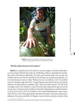 113
EXPERIENCIAS
DE
RECONOCIMIENTO,
RESCATE
Y
PRODUCCIÓN
DE
SEMILLAS
CAMPESINAS
Foto 23. Mario Méndez, productor de la Red de Productores y
Productoras Apacuana, Camino de los Españoles, Caracas.
“Semillacriollacomoesanolahevistoyo”
Mario: La experiencia yo la obtuve con mi suegro, con Julio González,
y con mi papá. Me decían cómo se sembraba, cómo se reproducía la semi-
lla, cómo era mejor sembrarla. Yo tenía casi treinta años con un ajo, ajo
criollo, bueno, eso fue de un kilo de ajo del que yo escogí unos granos, se
le veían hasta las raíces y dije: “Bueno, lo voy a sembrar, a ver”, lo sembré
y de esa siembra cogí una rita125
, lo que llaman una rita de ajo de cincuenta
cabezas, la dejé toda pa’ semillas. Dije: “Este ajo vale la pena”. De ahí le di
al suegro mío, él lo sembró y como él tenía más experiencia que yo en los
surcos que se hacían para sembrar el ajo (él antiguamente sembró bastan-
te ajo), yo se lo di a él, él lo sembró y sacó aproximadamente como cinco
ritas. De las cinco ritas agarramos dos para nosotros, una para cada uno y
dejamos tres para semillas. Yo llegué a sacar treinta cuentas, treinta ritas
(125)  Unidad de medida de la cosecha de ajo destinada a la comercialización.
 