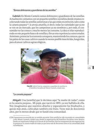 125
EXPERIENCIAS
DE
RECONOCIMIENTO,
RESCATE
Y
PRODUCCIÓN
DE
SEMILLAS
CAMPESINAS
“Somosdefensoresyguardianesdelassemillas”
Gabriel: En Monte Carmelo somos defensores y guardianes de las semillas.
Actualmente contamos con un pequeño semillero socialista donde estamos re-
colectandotodaslassemillasautóctonasylasqueestánenextinción,talescomo
la caraota paspasa128
, la arveja amarilla, es decir, todas las variedades que ya no
se ven en un mercado, que los campesinos ya no siembran y, por ende, el con-
sumidor no las conoce y mucho menos las consume. La idea es irlas reproduci-
endoenestepequeñobancodesemillasyllevarestaexperienciaaotrosestados.
Asimismo,potenciarlaeconomíaconuquera,manteniendolosconucos,queen
lospatiosdelascasascultivenusandolomenosposibleinsecticidas,fungicidas,
para alcanzar cultivos agroecológicos.
Foto 28. Gabriel García, campesino y guardián de semillas en
el Semillero Socialista de Monte Carmelo, estado Lara.
“Lacaraotapaspasa”
Abigail: Una [semilla] que le decimos aquí “la madre de todas”, como
es la caraota paspasa… Mi papá, que nació en 1893, ya nos hablaba de ella.
Nos imaginamos que nuestros abuelos y seguramente los bisabuelos, y
quizás más atrás, cultivaban también este fruto. Tiene más de doscientos
años, por lo menos desde que se fundó esta comunidad.
(128)  Leguminosa reconocida por su sentido ancestral. Esta semilla ha sido rescatada en comunidades
como Monte Carmelo, estado Lara, donde la organización del Semillero Socialista viene desarro-
llando un importante trabajo en el rescate de las semillas. Para los integrantes de esta organización,
la paspasa es la caraota madre de todas ya que tiene más de doscientos años en la comunidad, desde
su fundación.
 