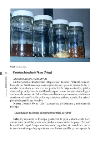 134
Varios
Autores
SEMILLAS
DEL
PUEBLO
Foto 32. Semillas varias.
Productores Integrales del Páramo (Proinpa)
Municipio Rangel, estado Mérida
La Asociación de Productores Integrales del Páramo (Proinpa) está con-
formada por familias campesinas organizadas del páramo merideño. Su fi-
nalidad es producir y comercializar productos de origen animal, vegetal y
artesanal, principalmente semillas de papas, con un esquema tecnológico
que busca la protección del ambiente mediante un proceso de capacitación
continua y diversificación de los espacios productivos, acorde a los princi-
pios de desarrollo sustentable.
Narra: Gerardo Rivas “Lalo”, campesino del páramo y miembro de
Proinpa.
“La produccióndesemillasesimportanteentodoslosrubros”
Lalo: Soy miembro de Proinpa, productor de papa y ahora, desde hace
quince años en adelante estamos produciendo semillas de papa. ¿Por qué
la semilla de papa? Porque nosotros como organización nos dimos cuen-
ta en el camino que hay que tener una buena semilla para empezar la
 