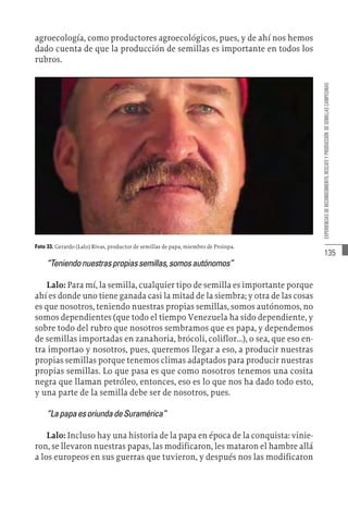 135
EXPERIENCIAS
DE
RECONOCIMIENTO,
RESCATE
Y
PRODUCCIÓN
DE
SEMILLAS
CAMPESINAS
agroecología, como productores agroecológicos, pues, y de ahí nos hemos
dado cuenta de que la producción de semillas es importante en todos los
rubros.
Foto 33. Gerardo (Lalo) Rivas, productor de semillas de papa, miembro de Proinpa.
“Teniendonuestraspropiassemillas,somosautónomos”
Lalo: Para mí, la semilla, cualquier tipo de semilla es importante porque
ahí es donde uno tiene ganada casi la mitad de la siembra; y otra de las cosas
es que nosotros, teniendo nuestras propias semillas, somos autónomos, no
somos dependientes (que todo el tiempo Venezuela ha sido dependiente, y
sobre todo del rubro que nosotros sembramos que es papa, y dependemos
de semillas importadas en zanahoria, brócoli, coliflor...), o sea, que eso en-
tra importao y nosotros, pues, queremos llegar a eso, a producir nuestras
propias semillas porque tenemos climas adaptados para producir nuestras
propias semillas. Lo que pasa es que como nosotros tenemos una cosita
negra que llaman petróleo, entonces, eso es lo que nos ha dado todo esto,
y una parte de la semilla debe ser de nosotros, pues.
“LapapaesoriundadeSuramérica”
Lalo: Incluso hay una historia de la papa en época de la conquista: vinie-
ron, se llevaron nuestras papas, las modificaron, les mataron el hambre allá
a los europeos en sus guerras que tuvieron, y después nos las modificaron
 