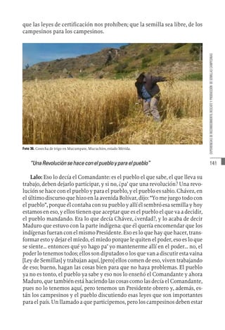 141
EXPERIENCIAS
DE
RECONOCIMIENTO,
RESCATE
Y
PRODUCCIÓN
DE
SEMILLAS
CAMPESINAS
que las leyes de certificación nos prohíben; que la semilla sea libre, de los
campesinos para los campesinos.
Foto 36. Cosecha de trigo en Mucumpate, Mucuchíes, estado Mérida.
“UnaRevoluciónsehaceconelpuebloyparaelpueblo”
Lalo: Eso lo decía el Comandante: es el pueblo el que sabe, el que lleva su
trabajo, deben dejarlo participar, y si no, ¿pa’ que una revolución? Una revo-
lución se hace con el pueblo y para el pueblo, y el pueblo es sabio. Chávez, en
el último discurso que hizo en la avenida Bolívar, dijo: “Yo me juego todo con
el pueblo”, porque él contaba con su pueblo y allí él sembró esa semilla y hoy
estamos en eso, y ellos tienen que aceptar que es el pueblo el que va a decidir,
el pueblo mandando. Era lo que decía Chávez, ¿verdad?, y lo acaba de decir
Maduro que estuvo con la parte indígena: que él quería encomendar que los
indígenas fueran con el mismo Presidente. Eso es lo que hay que hacer, trans-
formar esto y dejar el miedo, el miedo porque le quiten el poder, eso es lo que
se siente... entonces qué yo hago pa’ yo mantenerme allí en el poder... no, el
poder lo tenemos todos; ellos son diputados o los que van a discutir esta vaina
[Ley de Semillas] y trabajan aquí, [pero] ellos comen de eso, viven trabajando
de eso; bueno, hagan las cosas bien para que no haya problemas. El pueblo
ya no es tonto, el pueblo ya sabe y eso nos lo enseñó el Comandante y ahora
Maduro, que también está haciendo las cosas como las decía el Comandante,
pues no lo tenemos aquí, pero tenemos un Presidente obrero y, además, es-
tán los campesinos y el pueblo discutiendo esas leyes que son importantes
para el país. Un llamado a que participemos, pero los campesinos deben estar
 