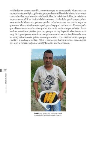 150
Varios
Autores
SEMILLAS
DEL
PUEBLO
rendimientos con esa semilla, y creemos que no es necesario Monsanto con
su paquete tecnológico, primero, porque las semillas de la Monsanto vienen
contaminadas, requieren de más herbicidas, de más insecticidas, de más insu-
mos venenosos? Si en la ciudad diéramos esa charla de lo que hay que aplicar
a ese maíz de Monsanto, yo creo que la ciudad entera se nos uniría a que sa-
quemos a Monsanto de nuestro país, pero hay que concientizar. Esa campaña
que ellos nos están aplicando, que se nos están metiendo por debajo... hasta
los funcionarios se prestan para eso, porque no hay la política hacia eso... está
muy fácil, yo digo que nosotros, campesinos como somos, también sabemos,
leemos y estudiamos a quienes nos representan en las instituciones... porque
es difícil si no hay semillas... ¿Qué tenemos que hacer nosotros los campesi-
nos sino sembrar esa [la nacional]? Pero si viene Monsanto…
Foto 41. Fray Silvera, del Fundo Las Tres R
rescatado del latifundio, estado Yaracuy.
 