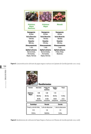 164
Varios
Autores
SEMILLAS
DEL
PUEBLO
Figura 5. Características de cultivares de papas negras o nativas en el páramo de Gavidia (período 2002-2004).
Figura 6. Rendimientos de cultivares de Papas Negras o Nativas en el Páramo de Gavidia (período 2005-2008).
 