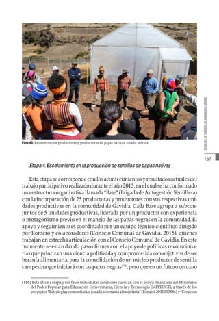 167
SEMILLAS
DE
TUBÉRCULOS
ANDINOS
EN
MÉRIDA
Foto 45. Encuentro con productores y productoras de papas nativas, estado Mérida.
Etapa4.Escalamientoenlaproduccióndesemillasdepapasnativas
Esta etapa se corresponde con los acontecimientos y resultados actuales del
trabajo participativo realizado durante el año 2015, en el cual se ha conformado
una estructura organizativa llamada “Base” (Brigada de Autogestión Semillera)
con la incorporación de 25 productoras y productores con sus respectivas uni-
dades productivas en la comunidad de Gavidia. Cada Base agrupa a subcon-
juntos de 5 unidades productivas, liderada por un productor con experiencia
o protagonismo previo en el manejo de las papas negras en la comunidad. El
apoyo y seguimiento es coordinado por un equipo técnico-científico dirigido
por Romero y colaboradores (Consejo Comunal de Gavidia, 2015), quienes
trabajan en estrecha articulación con el Consejo Comunal de Gavidia. En este
momento se están dando pasos firmes con el apoyo de políticas revoluciona-
rias que priorizan una ciencia politizada y comprometida con objetivos de so-
beranía alimentaria, para la consolidación de un núcleo productor de semilla
campesina que iniciará con las papas negras156
, pero que en un futuro cercano
(156)  Esta última etapa y sus fases inmediatas anteriores cuentan con el apoyo financiero del Ministerio
del Poder Popular para Educación Universitaria, Ciencia y Tecnología (MPPEUCT), a través de los
proyectos “Estrategias comunitarias para la soberanía alimentaria” (Fonacit 2011000846) y “Creación
 