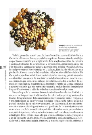 186
Varios
Autores
SEMILLAS
DEL
PUEBLO
Foto 53. Variedades de leguminosas
de diferentes localidades del
país, actualmente amenazadas
por el efecto del agronegocio.
Vale la pena destacar el caso de la emblemática comunidad de Monte
Carmelo, ubicada en Sanare, estado Lara, quienes durante años han trabaja-
do por la recuperación y multiplicación de la amplia diversidad de especies
y variedades locales de leguminosas y otros rubros alimenticios, entre los
que destaca la variedad de caraota paspasa de la especie Phaseolus lunatus,
la cual presenta un fuerte arraigo en la cultura, identidad e historia de esta
población. En esta comunidad se celebra todos los años el Día de la Semilla
Campesina, que busca visibilizar y reivindicar los saberes y prácticas asocia-
das al cultivo y consumo de nuestras variedades tradicionales y ancestrales,
entendiendo que solo en los saberes populares asociados al cultivo de ali-
mentos, se encuentra el camino para retomar el rumbo de la vida soberana
y autosustentable, que nos permitirá superar la profunda crisis integral que
hoy en día amenaza la vida de todas las especies sobre el planeta.
Sin duda que de la mano de la concienciación sobre el valor histórico y
cultural de las prácticas tradicionales de cultivo de especies y variedades
locales de leguminosas deben realizarse esfuerzos reales para el resguardo
y multiplicación de la diversidad biológica local de este rubro, así como
para el impulso de su cultivo y consumo. En la actualidad, nos encontra-
mos ante una realidad agroalimentaria producto de las transformaciones
ocurridas a raíz de la invasión e imposición cultural europea, que acabó con
una parte importante del conocimiento ancestral vinculado con el manejo
estratégico de los ecosistemas, a lo que se suma el impacto del agronegocio
que ha impuesto un modelo agrícola altamente contaminante, caracteri-
zado por la monoproducción intensiva y el uso de agrotóxicos, orientado
 