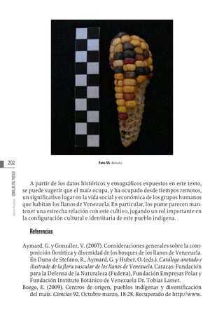 202
Varios
Autores
SEMILLAS
DEL
PUEBLO
Foto 55. Bototo.
A partir de los datos históricos y etnográficos expuestos en este texto,
se puede sugerir que el maíz ocupa, y ha ocupado desde tiempos remotos,
un significativo lugar en la vida social y económica de los grupos humanos
que habitan los llanos de Venezuela. En particular, los pume parecen man-
tener una estrecha relación con este cultivo, jugando un rol importante en
la configuración cultural e identitaria de este pueblo indígena.
Referencias
Aymard, G. y González, V. (2007). Consideraciones generales sobre la com-
posición florística y diversidad de los bosques de los llanos de Venezuela.
En Duno de Stefano, R., Aymard, G. y Huber, O. (eds.). Catálogo anotado e
ilustrado de la flora vascular de los llanos de Venezuela. Caracas: Fundación
para la Defensa de la Naturaleza (Fudena), Fundación Empresas Polar y
Fundación Instituto Botánico de Venezuela Dr. Tobías Lasser.
Boege, E. (2009). Centros de origen, pueblos indígenas y diversificación
del maíz. Ciencias 92. Octubre-marzo, 18-28. Recuperado de http://www.
 