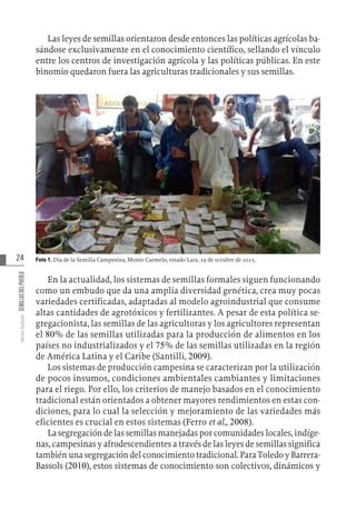 24
Varios
Autores
SEMILLAS
DEL
PUEBLO
Las leyes de semillas orientaron desde entonces las políticas agrícolas ba-
sándose exclusivamente en el conocimiento científico, sellando el vínculo
entre los centros de investigación agrícola y las políticas públicas. En este
binomio quedaron fuera las agriculturas tradicionales y sus semillas.
Foto 1. Día de la Semilla Campesina, Monte Carmelo, estado Lara, 29 de octubre de 2015.
En la actualidad, los sistemas de semillas formales siguen funcionando
como un embudo que da una amplia diversidad genética, crea muy pocas
variedades certificadas, adaptadas al modelo agroindustrial que consume
altas cantidades de agrotóxicos y fertilizantes. A pesar de esta política se-
gregacionista, las semillas de las agricultoras y los agricultores representan
el 80% de las semillas utilizadas para la producción de alimentos en los
países no industrializados y el 75% de las semillas utilizadas en la región
de América Latina y el Caribe (Santilli, 2009).
Los sistemas de producción campesina se caracterizan por la utilización
de pocos insumos, condiciones ambientales cambiantes y limitaciones
para el riego. Por ello, los criterios de manejo basados en el conocimiento
tradicional están orientados a obtener mayores rendimientos en estas con-
diciones, para lo cual la selección y mejoramiento de las variedades más
eficientes es crucial en estos sistemas (Ferro et al., 2008).
La segregación de las semillas manejadas por comunidades locales, indíge-
nas, campesinas y afrodescendientes a través de las leyes de semillas significa
también una segregación del conocimiento tradicional. Para Toledo y Barrera-
Bassols (2010), estos sistemas de conocimiento son colectivos, dinámicos y
 