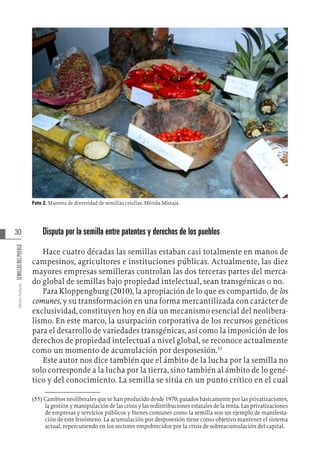 30
Varios
Autores
SEMILLAS
DEL
PUEBLO
Foto 2. Muestra de diversidad de semillas criollas. Mérida-Mistajá.
Disputa por la semilla entre patentes y derechos de los pueblos
Hace cuatro décadas las semillas estaban casi totalmente en manos de
campesinos, agricultores e instituciones públicas. Actualmente, las diez
mayores empresas semilleras controlan las dos terceras partes del merca-
do global de semillas bajo propiedad intelectual, sean transgénicas o no.
Para Kloppengburg (2010), la apropiación de lo que es compartido, de los
comunes, y su transformación en una forma mercantilizada con carácter de
exclusividad, constituyen hoy en día un mecanismo esencial del neolibera-
lismo. En este marco, la usurpación corporativa de los recursos genéticos
para el desarrollo de variedades transgénicas, así como la imposición de los
derechos de propiedad intelectual a nivel global, se reconoce actualmente
como un momento de acumulación por desposesión.55
Este autor nos dice también que el ámbito de la lucha por la semilla no
solo corresponde a la lucha por la tierra, sino también al ámbito de lo gené-
tico y del conocimiento. La semilla se sitúa en un punto crítico en el cual
(55)  Cambios neoliberales que se han producido desde 1970, guiados básicamente por las privatizaciones,
la gestión y manipulación de las crisis y las redistribuciones estatales de la renta. Las privatizaciones
de empresas y servicios públicos y bienes comunes como la semilla son un ejemplo de manifesta-
ción de este fenómeno. La acumulación por desposesión tiene como objetivo mantener el sistema
actual, repercutiendo en los sectores empobrecidos por la crisis de sobreacumulación del capital.
 