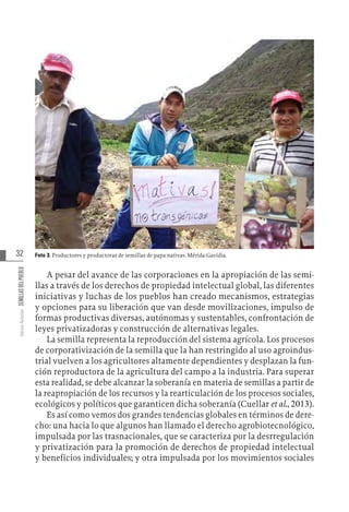 32
Varios
Autores
SEMILLAS
DEL
PUEBLO
Foto 3. Productores y productoras de semillas de papa nativas. Mérida-Gavidia.
A pesar del avance de las corporaciones en la apropiación de las semi-
llas a través de los derechos de propiedad intelectual global, las diferentes
iniciativas y luchas de los pueblos han creado mecanismos, estrategias
y opciones para su liberación que van desde movilizaciones, impulso de
formas productivas diversas, autónomas y sustentables, confrontación de
leyes privatizadoras y construcción de alternativas legales.
La semilla representa la reproducción del sistema agrícola. Los procesos
de corporativización de la semilla que la han restringido al uso agroindus-
trial vuelven a los agricultores altamente dependientes y desplazan la fun-
ción reproductora de la agricultura del campo a la industria. Para superar
esta realidad, se debe alcanzar la soberanía en materia de semillas a partir de
la reapropiación de los recursos y la rearticulación de los procesos sociales,
ecológicos y políticos que garanticen dicha soberanía (Cuellar et al., 2013).
Es así como vemos dos grandes tendencias globales en términos de dere-
cho: una hacia lo que algunos han llamado el derecho agrobiotecnológico,
impulsada por las trasnacionales, que se caracteriza por la desrregulación
y privatización para la promoción de derechos de propiedad intelectual
y beneficios individuales; y otra impulsada por los movimientos sociales
 