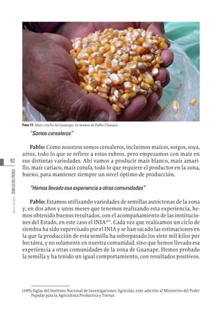 92
Varios
Autores
SEMILLAS
DEL
PUEBLO
Foto 17. Maíz criollo de Guanape, en manos de Pablo Characo.
“Somoscerealeros”
Pablo: Como nosotros somos cerealeros, incluimos maíces, sorgos, soya,
arroz, todo lo que se refiere a estos rubros, pero empezamos con maíz en
sus distintas variedades. Ahí vamos a producir maíz blanco, maíz amari-
llo, maíz cariaco, maíz cotufa, todo lo que requiere el productor en la zona,
bueno, para mantener siempre un nivel óptimo de producción.
“Hemosllevadoesaexperienciaaotrascomunidades”
Pablo: Estamos utilizando variedades de semillas autóctonas de la zona
y, en dos años y unos meses que tenemos realizando esta experiencia, he-
mos obtenido buenos resultados, con el acompañamiento de las institucio-
nes del Estado, en este caso el INIA105
. Cada vez que realizamos un ciclo de
siembra ha sido supervisado por el INIA y se han sacado las estimaciones en
la que la producción de esta semilla ha sobrepasado los siete mil kilos por
hectárea, y no solamente en nuestra comunidad, sino que hemos llevado esa
experiencia a otras comunidades de la zona de Guanape. Hemos probado
la semilla y ha tenido un igual comportamiento, con resultados positivos.
(105)  Siglas del Instituto Nacional de Investigaciones Agrícolas, ente adscrito al Ministerio del Poder
Popular para la Agricultura Productiva y Tierras.
 