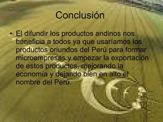 Conclusión  El difundir los productos andinos nos beneficia a todos ya que usaríamos los productos oriundos del Perú para formar microempresas y empezar la exportación de estos productos, mejorando la economía y dejando bien en alto el nombre del Perú.  