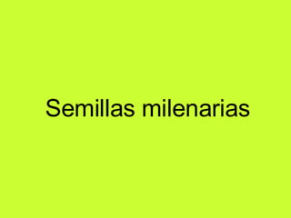 Semillas milenarias 