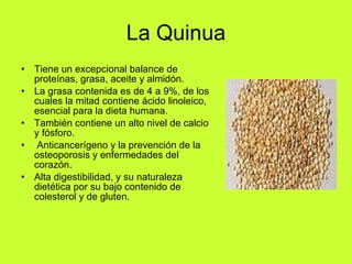 La Quinua Tiene un excepcional balance de proteínas, grasa, aceite y almidón.  La grasa contenida es de 4 a 9%, de los cuales la mitad contiene ácido linoleico, esencial para la dieta humana.  También contiene un alto nivel de calcio y fósforo. Anticancerígeno y la prevención de la osteoporosis y enfermedades del corazón.  Alta digestibilidad, y su naturaleza dietética por su bajo contenido de colesterol y de gluten.  