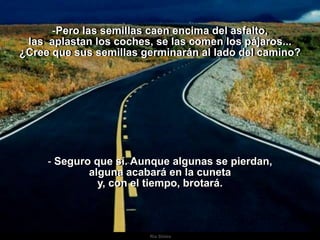 Ria SlidesPero las semillas caen encima del asfalto, las  aplastan los coches, se las comen los pájaros... ¿Cree que sus semillas germinarán al lado del camino? Seguro que sí. Aunque algunas se pierdan, alguna acabará en la cuneta y, con el tiempo, brotará.