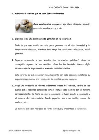 Club Orión Cd. Juárez Chih. Méx.


   7. Mencione 5 semillas que se usan como condimentos




                           Como condimentos se usan el: ajo, clavo, almendra, ajonjolí,

                           amaranto, cacahuate, coco, etc.




   8. Explique como una semilla puede germinar en la oscuridad.


      Todo lo que una semilla necesita para germinar es el aire, humedad y la

      temperatura adecuada, mientras ésta tenga las condiciones adecuadas, podrá

      germinar.


   9. Exprese oralmente o por escrito (en trescientas palabras) cómo ha

      conseguido algunas de sus semillas; cómo las ha limpiado. Cuente algún

      incidente que le haya ocurrido mientras buscaba semillas.


      Este informe se debe realizar individualmente por cada aspirante relatando su

      experiencia en cuando a la recolección de semillas para su maqueta.


   10. Haga una colección de treinta diferentes clases de semillas, veinte de las

      cuáles debe haberlas conseguido usted. Rotule cada semilla con el nombre

      correspondiente, la fecha en que la consiguió, el lugar donde la consiguió y

      el nombre del coleccionista. Puede pegarlas sobre un cartón, marco de

      madera, etc.


      La maqueta debe ser realizada de forma individual y presentada al instructor.




www.cluborion.advenz.com                                     Iglesia Zaragoza DB
 