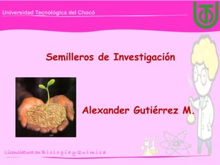 Licenciatura en B i o l o g í a y Q u i m i c a
Universidad Tecnológica del Chocó
Semilleros de Investigación
Alexander Gutiérrez M.
 