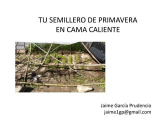 TU SEMILLERO DE PRIMAVERA
EN CAMA CALIENTE

Jaime García Prudencio
jaime1gp@gmail.com

 