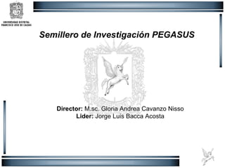 Semillero de Investigación PEGASUS Director:  M.sc. Gloria Andrea Cavanzo Nisso Lider:  Jorge Luis Bacca Acosta 
