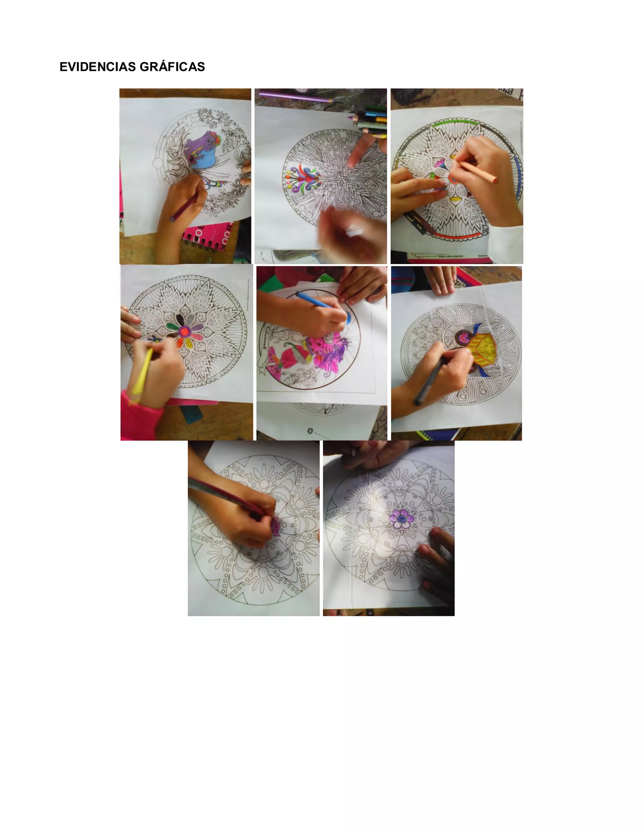 EVIDENCIAS GRÁFICAS
 