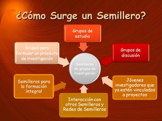 ¿Cómo Surge un Semillero? Semilleros para la formación integral 
