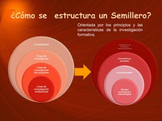 ¿Cómo se  estructura un Semillero? Orientada por los principios y las características de la investigación formativa. 