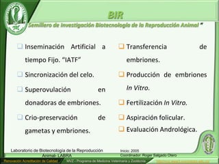 BIR
               Semillero de Investigación Biotecnología de la Reproducción Animal “


         Inseminación Artificial a                                   Transferencia                                 de
             tiempo Fijo. “IATF”                                          embriones.

         Sincronización del celo.                                    Producción de embriones

         Superovulación                                en                In Vitro.

             donadoras de embriones.                                  Fertilización In Vitro.

         Crio-preservación                             de            Aspiración folicular.
             gametas y embriones.                                     Evaluación Andrológica.

    Laboratorio de Biotecnología de la Reproducción                    Inicio: 2005
                    Animal- LABRA                                      Coordinador: Roger Salgado Otero
Renovación Acreditación de Calidad   MVZ - Programa de Medicina Veterinaria y Zootécnia    http//mvz.www3.unicordoba.edu.co/
 