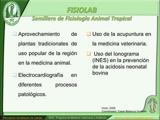 FISIOLAB
                         Semillero de Fisiología Animal Tropical

         Aprovechamiento                               de            Uso de la acupuntura en
             plantas tradicionales de                                     la medicina veterinaria.
             uso popular de la región                                 Uso del Ionograma
             en la medicina animal.                                   (INES) en la prevención
                                                                      de la acidosis neonatal
         Electrocardiografía                           en            bovina

             diferentes                   procesos
             patológicos.

                                                                                   Inicio: 2008
                                                                                   Coordinador: Cesar Betancur Hurtado

Renovación Acreditación de Calidad   MVZ - Programa de Medicina Veterinaria y Zootécnia     http//mvz.www3.unicordoba.edu.co/
 