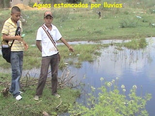 Aguas estancadas por lluvias
 