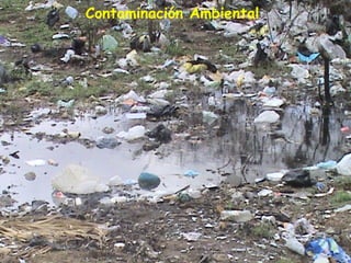 Contaminación Ambiental
 