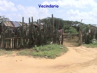 Vecindario
 
