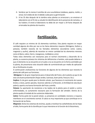 4- Sembrar por lo menos 6 semillas de una cucurbitácea (calabaza, pepino, melón, u
      otras). Se le debe de dar el debido cuido para su germinación.
   5- A los 35 días después de la siembra estas plantas se arrancaran y se enviaran al
      laboratorio con el fin de su estudio he identificación de la presencia de nematos, si
      los hubiera. El envió al laboratorio no debe de ser mayor a 24 horas después de
      arrancadas las plantas de muestra.




                                 Fertilización.
El café requiere un mínimo de 16 elementos nutritivos. Esta planta requiere en mayor
cantidad algunos de ellos por eso se les llama elementos mayores (Nitrógeno, fosforo y
potasio), también necesita de los llamados elementos secundarios como: (calcio,
magnesio y azufre), además de necesitar en menor cantidad de los elementos menores
como el (boro, cobre, hierro, manganeso, molibdeno y zinc).
Todos estos elementos son necesarios para el normal crecimiento y desarrollo de la
planta, su ausencia provoca los síntomas de deficiencias o hambre, esto puede deberse a
que el elemento no se encuentra en el suelo o no se encuentra en la forma asimilable por
la planta, de presentarse esta situación debe de suministrársele por medio de aplicación
de un fertilizante al suelo.
A continuación analizaremos las funciones de algunos de los elementos que necesita la
planta del café para sus funciones.
 Nitrógeno: Es de gran importancia para el desarrollo del fruto y de la planta ya que le da
esta una buena presentación (hojas verdes, lustrosas, buen porte, frescura. Etc.)
Fosforo: Es de gran ayuda para la división celular, que favorece el crecimiento de nuevos
brotes y raíces, partes apicales, favorece además a la floración, la fertilidad de esta (buen
polen) y aporta una buena formación del fruto y semilla.
Potasio: Su aportación da resistencia a los tejidos de la planta para el sostén y contra
enfermedades, es sumamente necesario para la formación del almidón. Dentro de la
planta ayuda al traslado de las sustancias elaboradas.
Calcio: Forma parte de la pared celular, su presencia en cantidades menores o mayores
interfieren en el crecimiento normal. El calcio es muy importante ya que contribuye en la
formación de las flores.
Magnesio: Activa los sistemas de enzimas, ayuda a movilizar los carbohidratos de las hojas
al tallo, forma parte de la clorofila por lo que interviene en la función de la fotosíntesis,
 