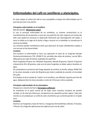 Enfermedades del café en semilleros y alamcigales.
En estas etapas el cultivo del café es muy susceptible al ataque de enfermedades por lo
que hay que estar muy atento.

Principales enfermedades en el semillero:
Mal del talluelo (Rhizoctonia solani)
Es casi la principal enfermedad de los semilleros, su síntoma característico es el
marchitamiento de las plantitas a causa de una pudrición de color negruzco en la base del
tallo cuya epidermis (cascara) se desprende fácilmente por desintegración del tejido, a
veces se dobla en el lugar de la lesión y llega a secarse en su totalidad, es causada por la
excesiva humedad.
Los síntomas pueden manifestarse antes que aparezcan las hojas cotiledonales (copita) o
una vez que se han desarrollado.
Combate:
Para prevenir la enfermedad se hace una aplicación al suelo de un fungicida llamado
Pentacloronitrobenceno 75% (PCNB 75 %), veintidós días antes de sembrar, use de 300 a
400 gramos por cada 10 metros cuadrados de superficie.
Otros fungicidas eficaces son: Difolatan 20 gramos, Maneb 20 gramos, Daconil 15 gramos
y Basamid de 30 a 40 gramos; cada uno de estos fungicidas se deben aplicar disueltos en
agua.
De comprobarse la presencia del hongo después de sembrar la semilla, aplique PCNB 75%
en las áreas atacadas a razón de 40 gramos por metro cuadrado de acuerdo a la hunedad
del suelo.
Si el ataque se da en estado de “copita” en el semillero, use difolatan 5 gramos por litro de
agua. Aplíquese bien las áreas atacadas a razón de 4 litros por metro cuadrado.

Principales enfermedades de los almacigales:
Chasparrea o mancha de hierro (Cercospora coffeicola).
Se manifiesta en la parte central de las hojas como manchas circulares de tamaño
variable, es de color gris blancuzca, transparente con pequeños puntos negros. Toda esta
mancha es circundada por un anillo de color amarillento que va disminuyendo en el tejido
sano.
Combate:
Atomice con fungicidas a base de hierro y manganeso (fermateferban, Maneb, Trimastan,
Trifuncit. Etc,) Haga dos aplicaciones de orgánicos por una de cobre.
 